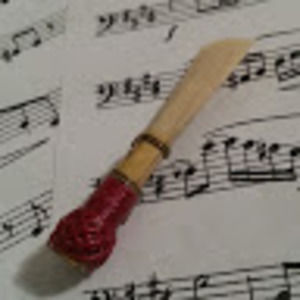 Meet your Posher, Sunny